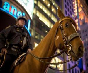 пазл Полицейский на конях